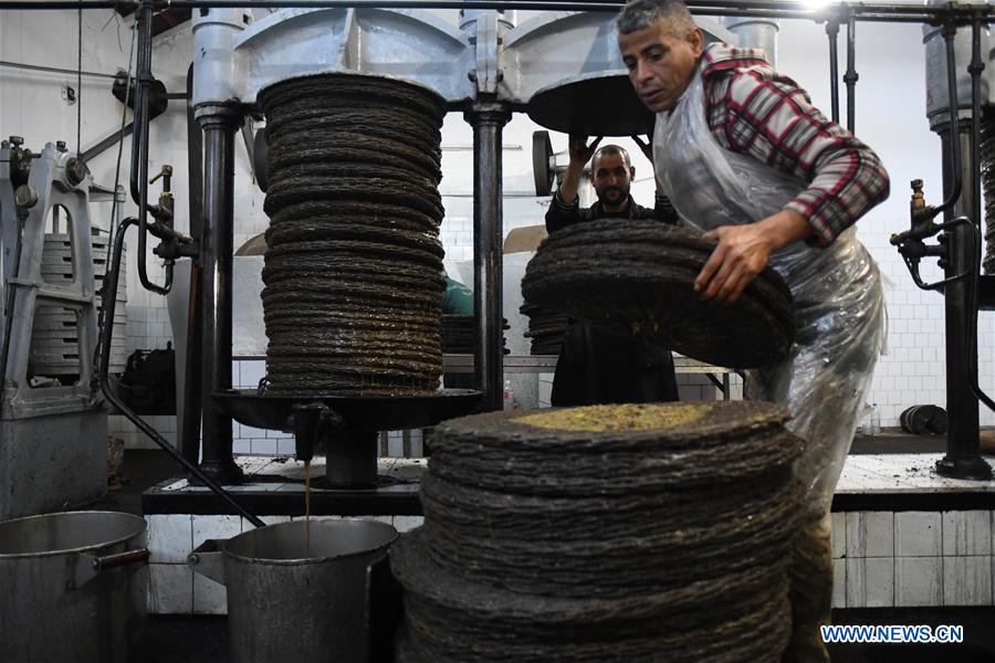 TUNISIA-TUNIS-OLIVE OIL-PRODUCTION