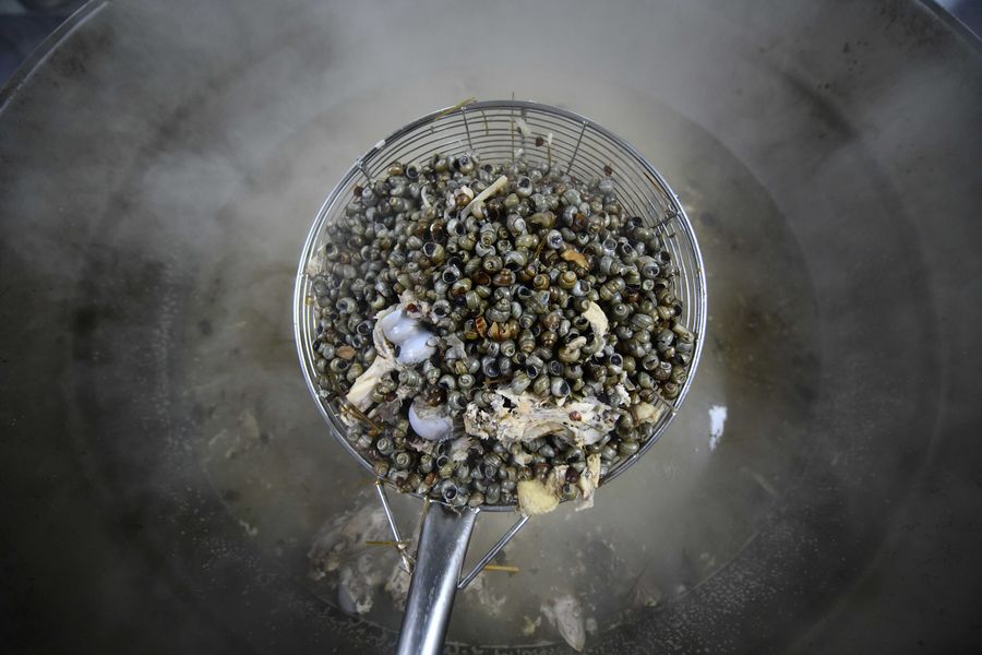 river snail rice noodles benefit the impoverished households in