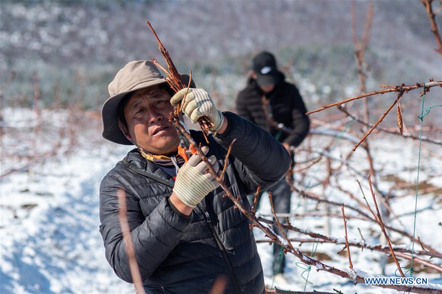 CHINA-YUNNAN-DIQING-COVID-19-POVERTY ALLEVIATION (CN)