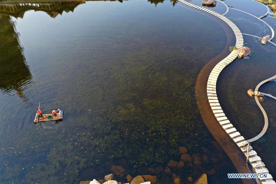 #CHINA-SHANDONG-QINGDAO-RIVER CLEANING (CN)