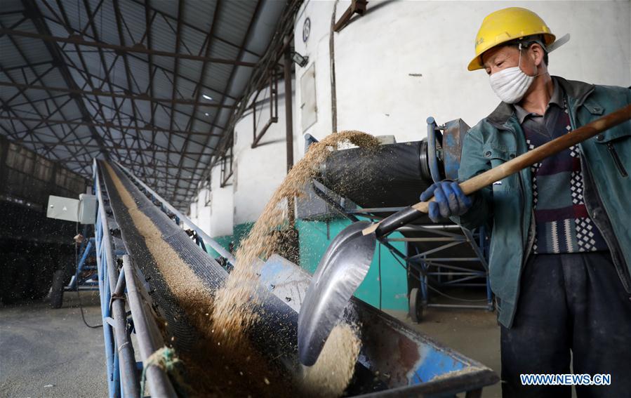 grain enterprises above designated size in anshan
