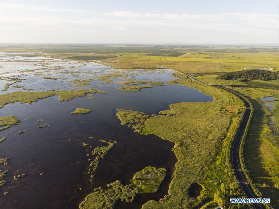 scenery of wetlands in heilongjiang