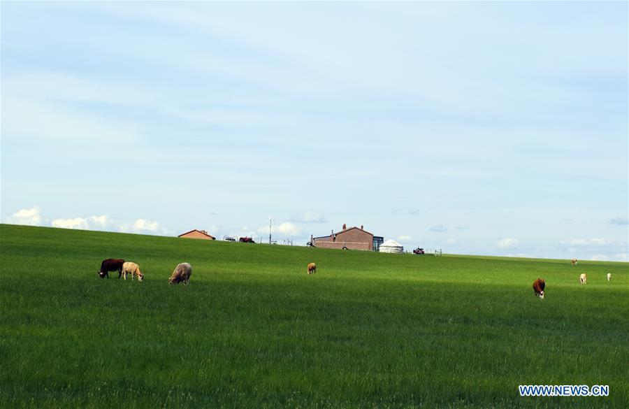 china-inner mongolia-ecology-development (cn)