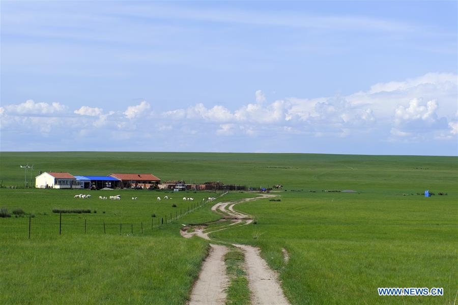 sceneryofinnermongolia
