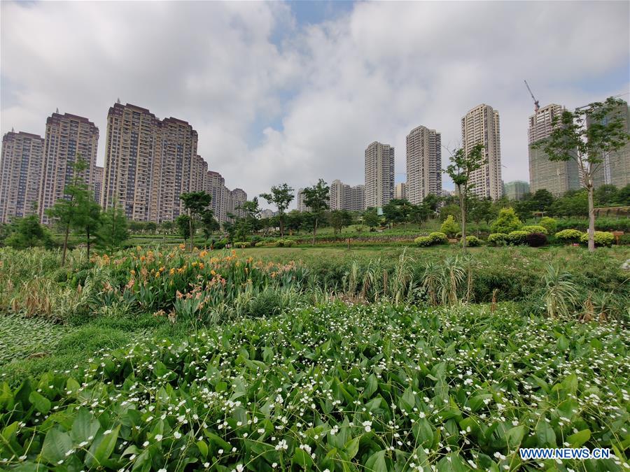 across china: "sponge city" program bears fruit