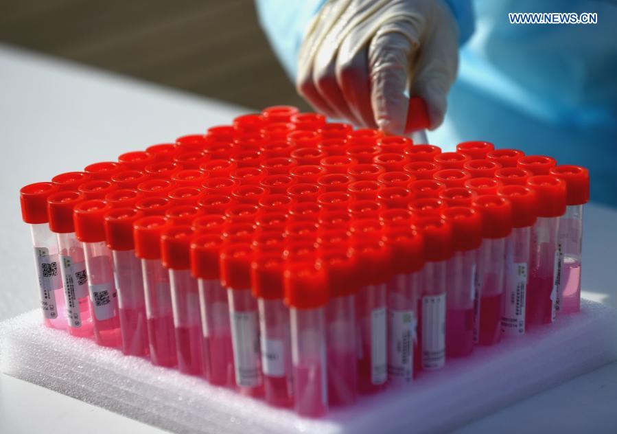 second round of nucleic acid testing begins in shijiazhuangs