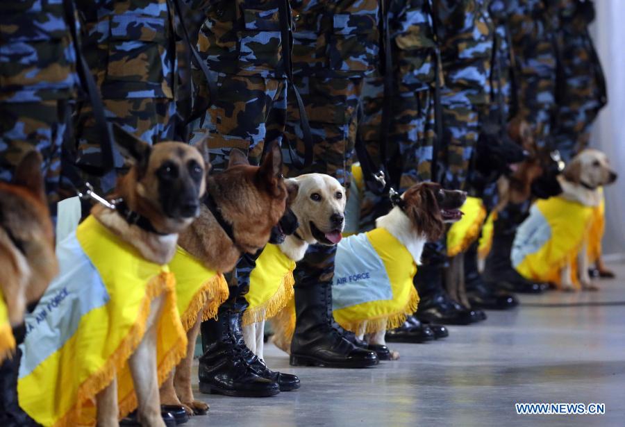 sniffer dogs attend pass ceremony at sri lanka air force base
