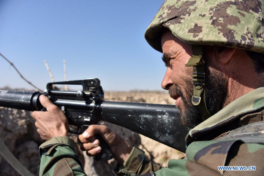 10 militants killed in afghan army overnight operation in