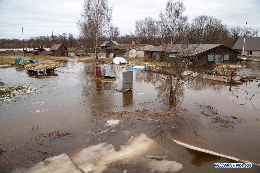 flooded area near gauja river in carnikava, latvia - xinhua