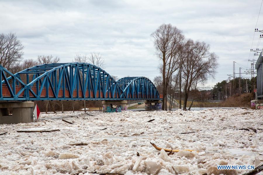 flooded area near gauja river in carnikava, latvia