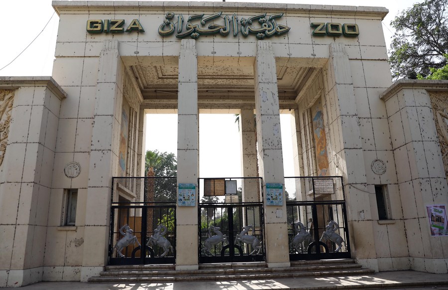 globalink | egypt takes measures on sham el-nessim to curb covid