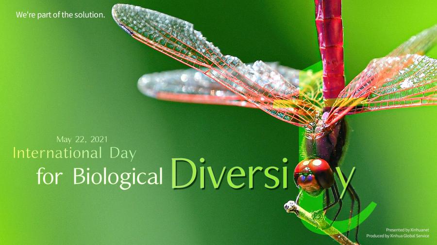 inposterstheyshowthebeautyofdiversity