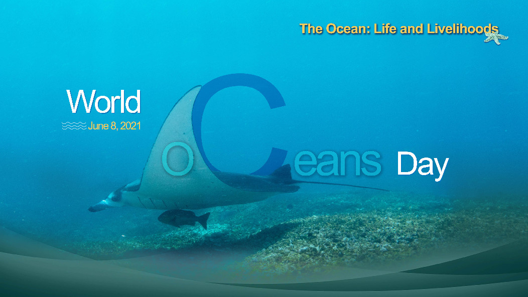 (world oceans day 2021) the ocean: life and livelihoods