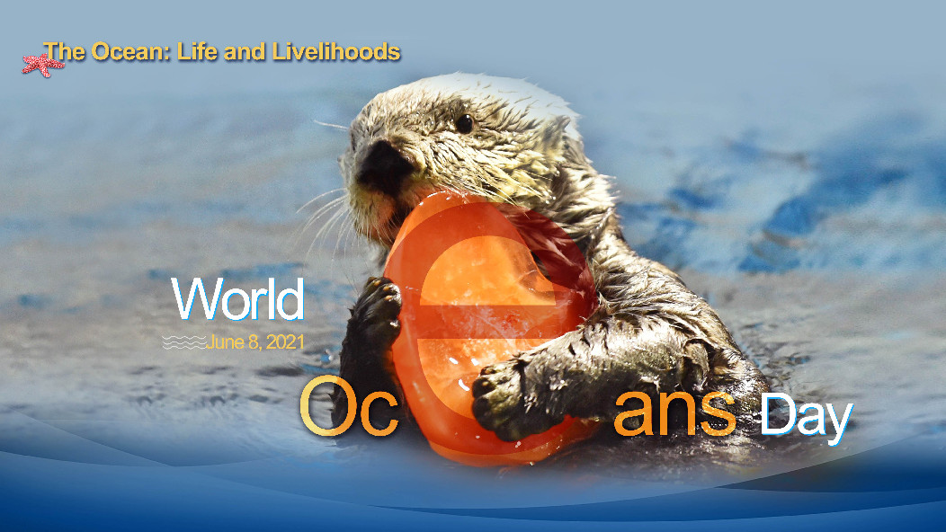 (world oceans day 2021) the ocean: life and livelihoods