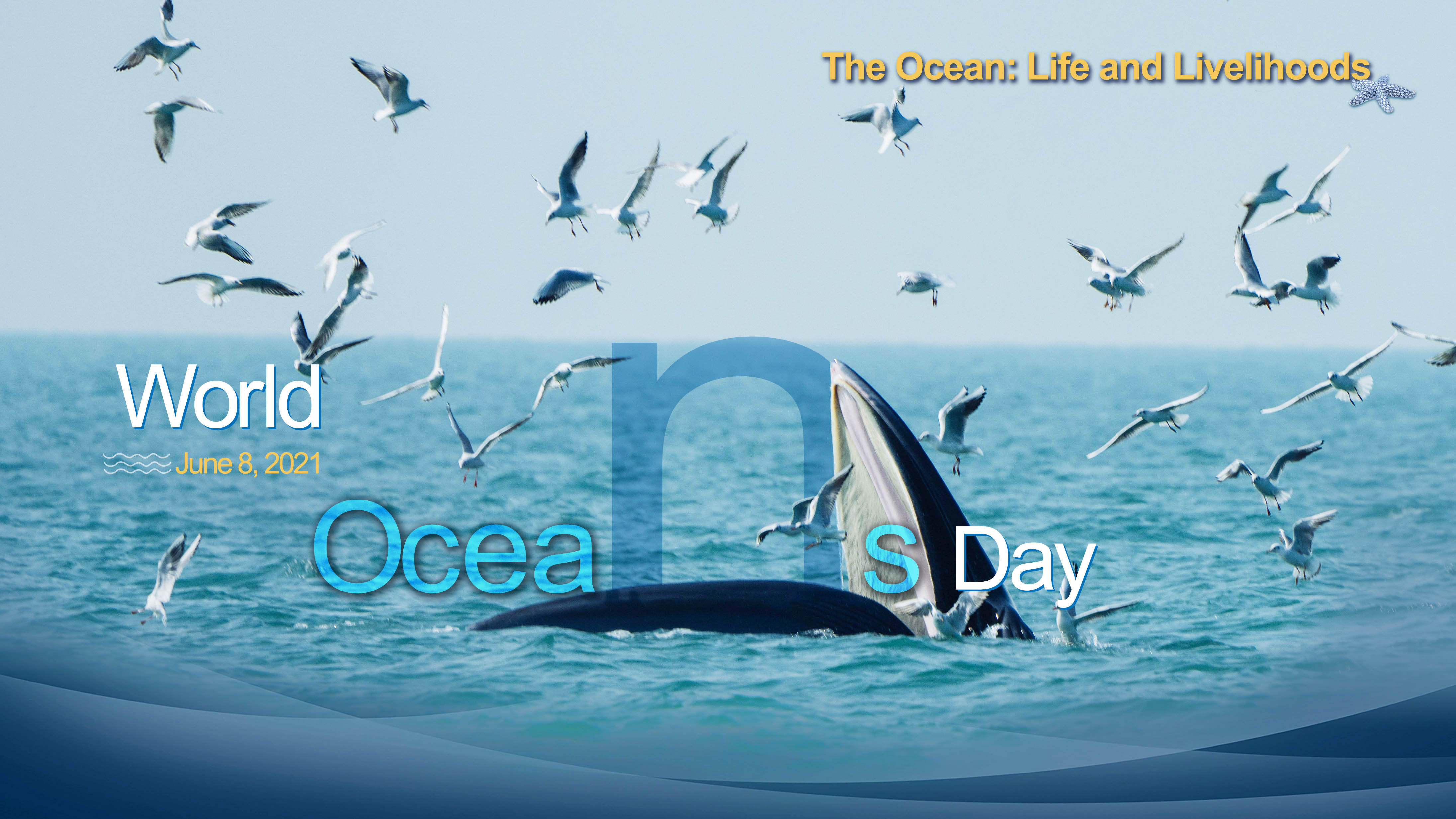 (posters) world oceans day 2021 - the ocean: life and