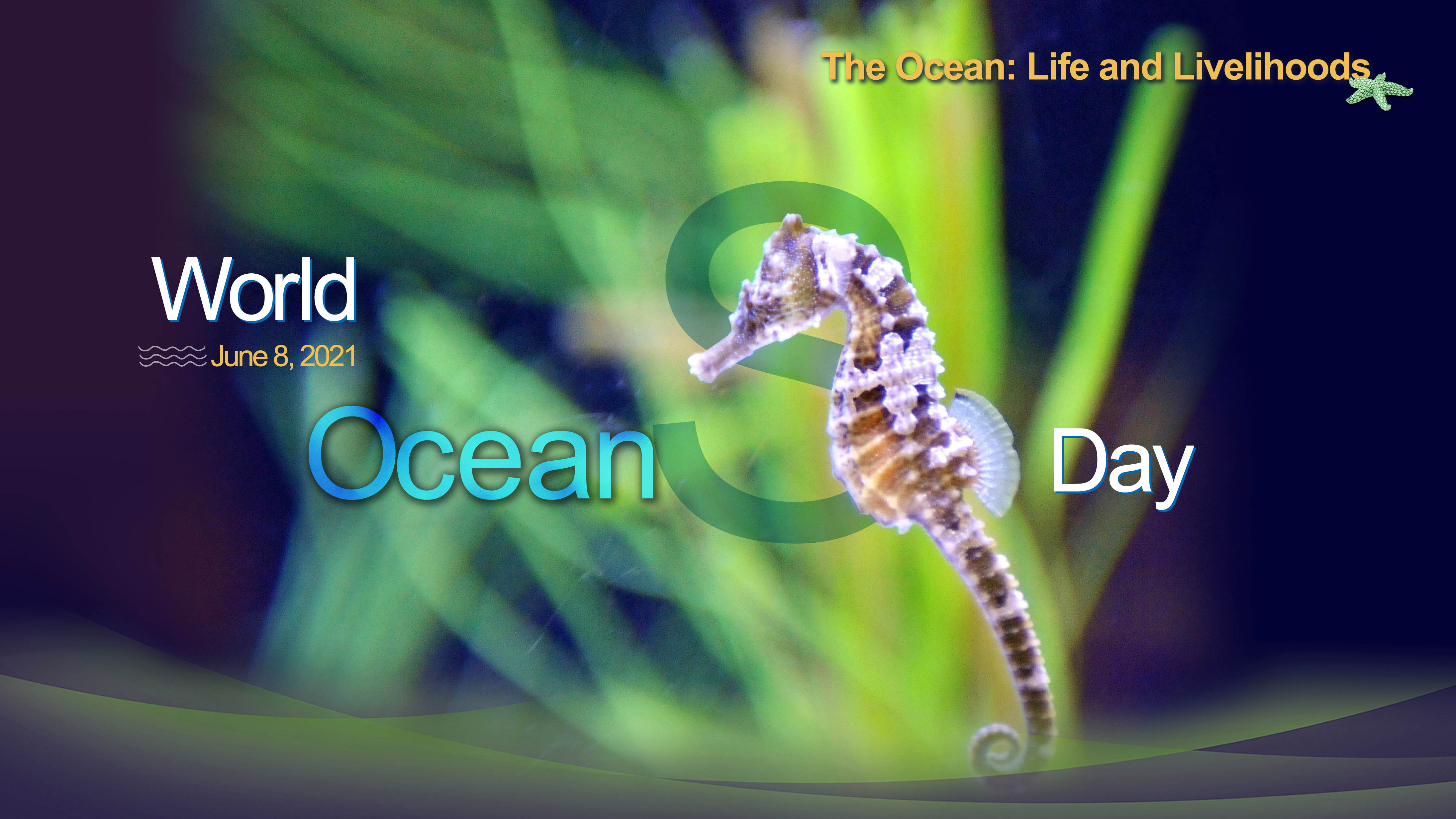 (posters) world oceans day 2021 - the ocean: life and