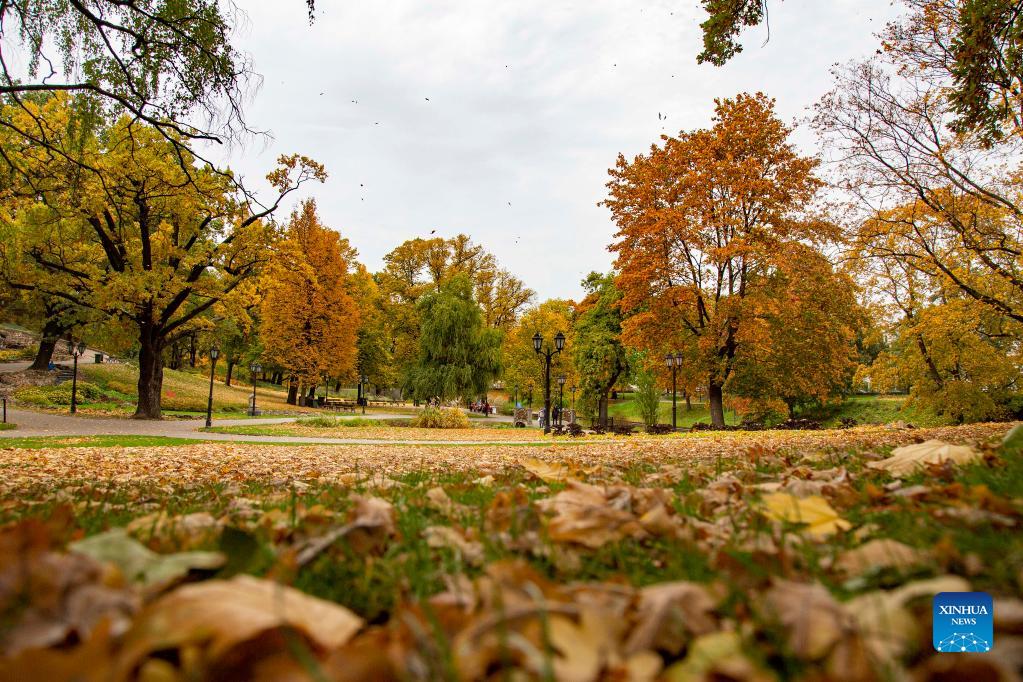 autumnsceneryofrigalatvia