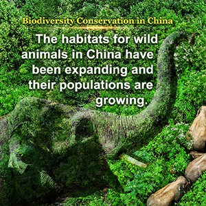 Biodiversity Conservation in China - Xinhua