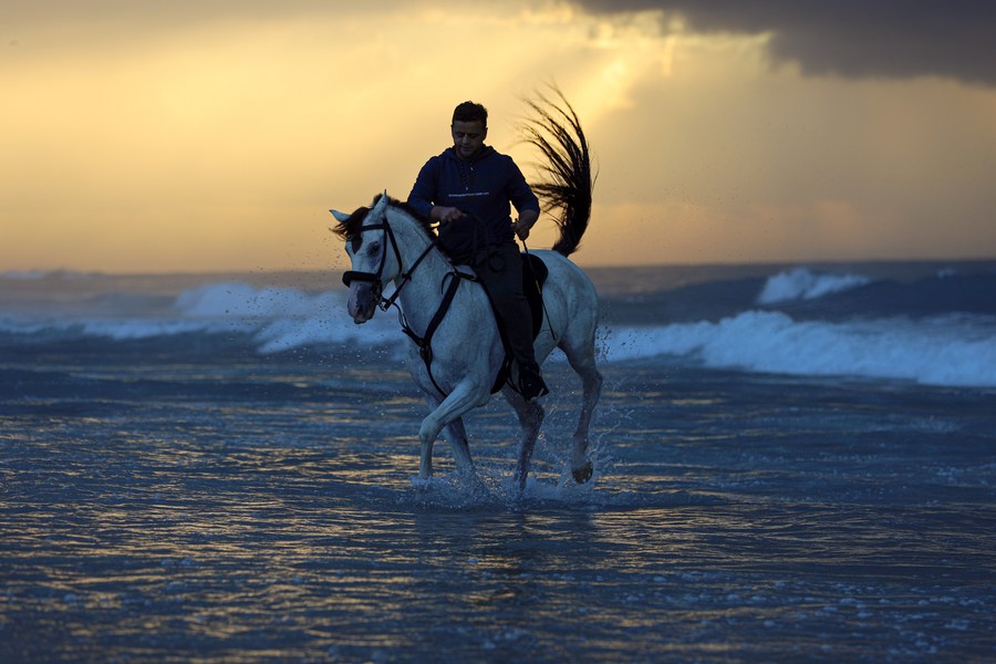 mideastinpicturespalestinianpeopleridehorsesbyseaside