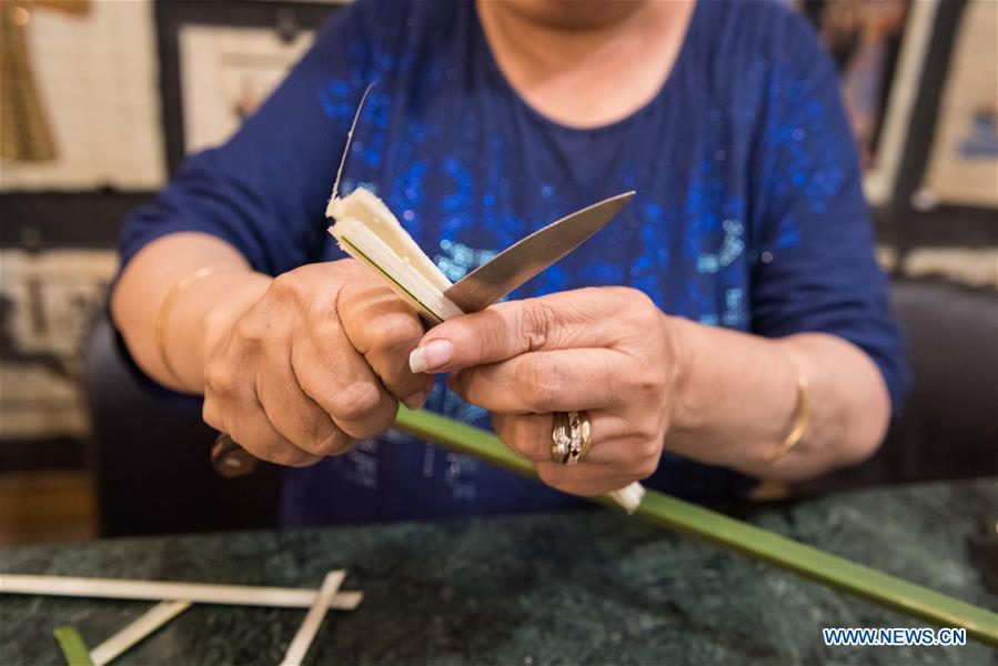 EGYPT-GIZA-CULTURE-PAPYRUS