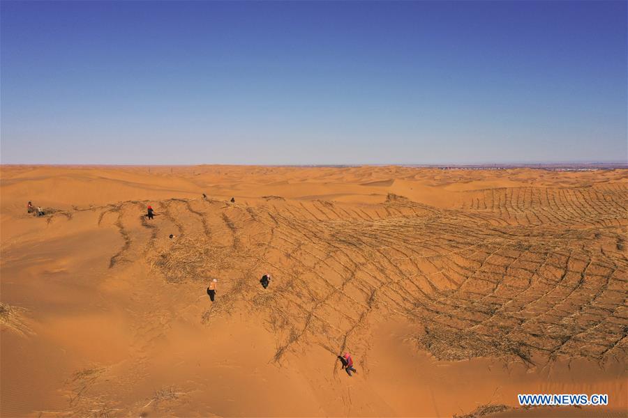 china-inner mongolia-kubuqi desert-desertification control (cn)