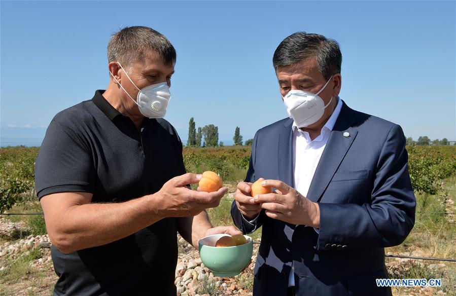 kyrgyz president inspects orchard amid covid-19 pandemic