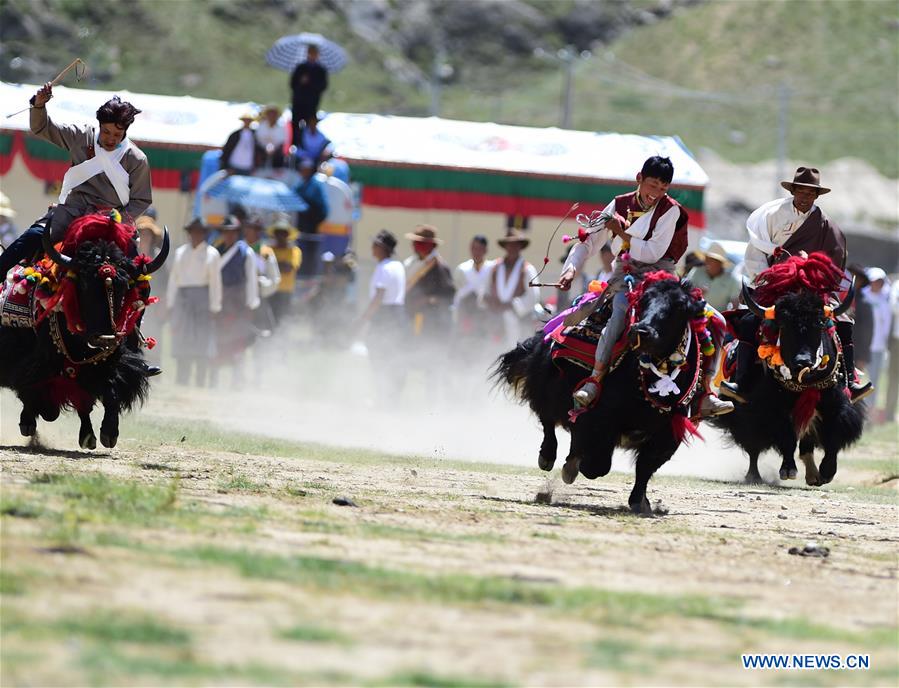 bumper harvest festival celebrated in chinas tibet - xinhua