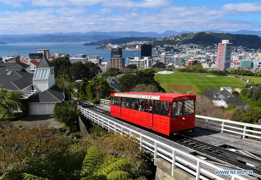 (citysketch)new zealand-wellington