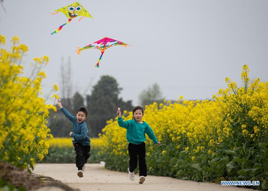 children fly kites amid cole flowers in longquan village of
