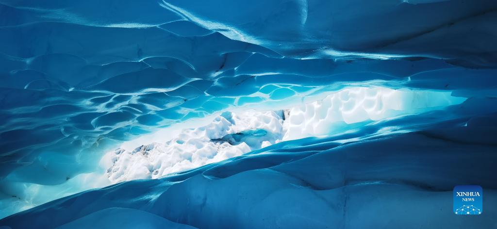 view of fox glacier on west coast of new zealands south island