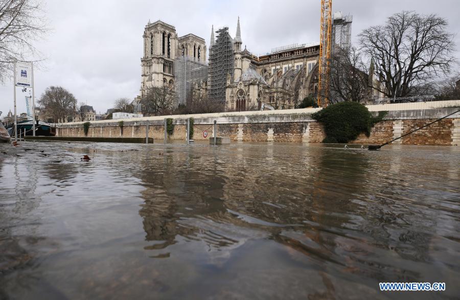 paris cathedral is seen on the flooded banks of the seine river