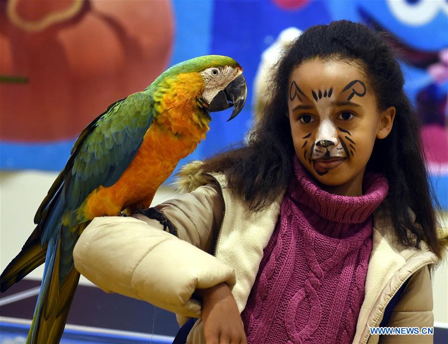 portugal-lisbon-pet show