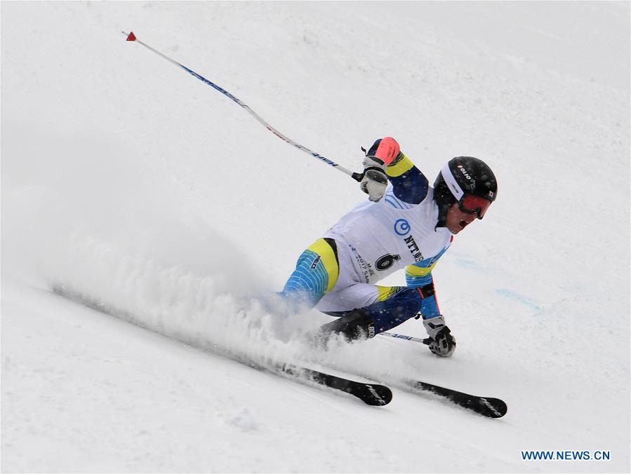 inpicsalpineskiingmensgiantslalomatsapporoasianwintergames
