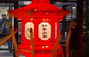 In pics: 2018 Toronto Qinhuai Lantern Festival