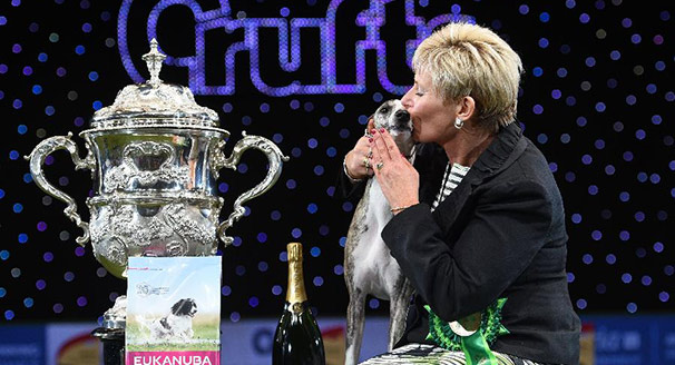 新华会展_新华网