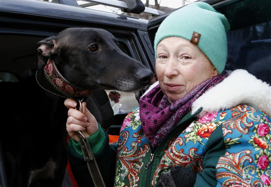 "俄罗斯狩猎"猎犬文化节