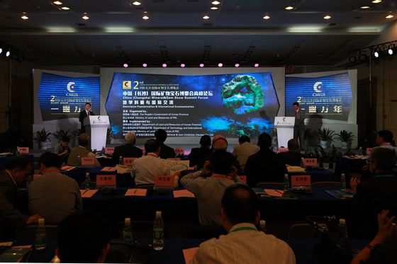 第二届中国（长沙）国际矿物宝石博览会高峰论坛举行