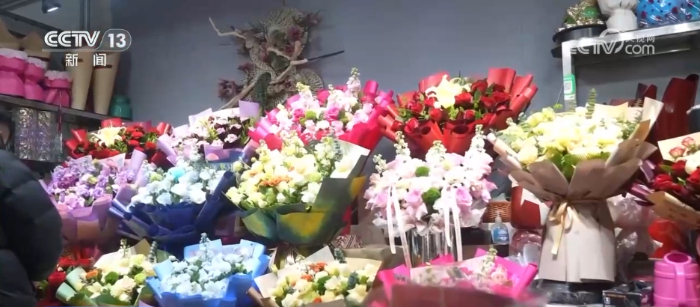 特色年宵花上新 各地畅销品种不同 你选哪一种？