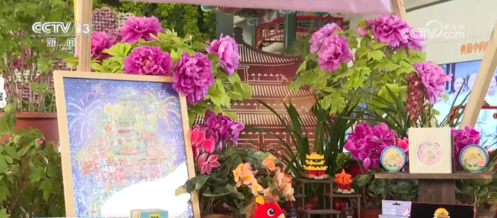 特色年宵花上新 各地畅销品种不同 你选哪一种？