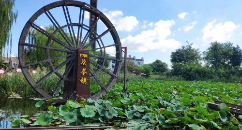 探访国家级非遗文化&mdash;&mdash;泾阳茯茶