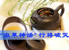 &ldquo;虫草神话&rdquo;行将破灭