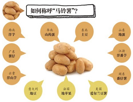 土豆跻身主粮之列关键在哪