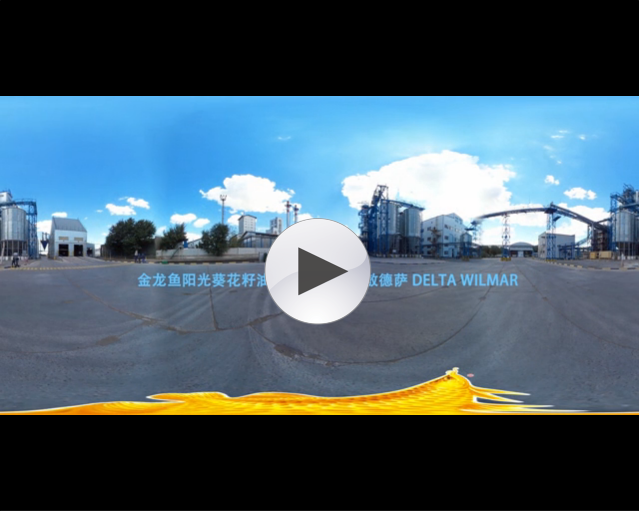 金龙鱼阳光葵花籽油乌克兰工厂VR视频