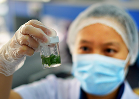 透明+共治：淮安味道的安全攻略