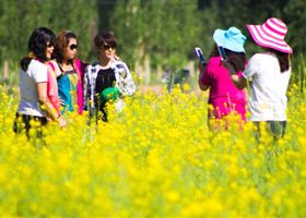 淮安市休闲观光农业生机勃勃