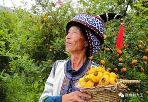 盘州市：小刺梨带动大扶贫