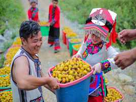 刺力王刺梨饮料 展演活动开启