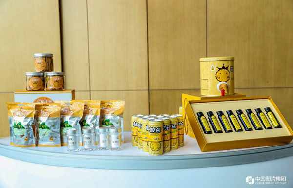 宏财集团公司总经理李波：善借优势 品牌塑造需要过程