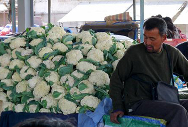 粮食“九连增”是如何实现的
