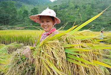多地蔬菜“卖难”商务部启动应对机制
